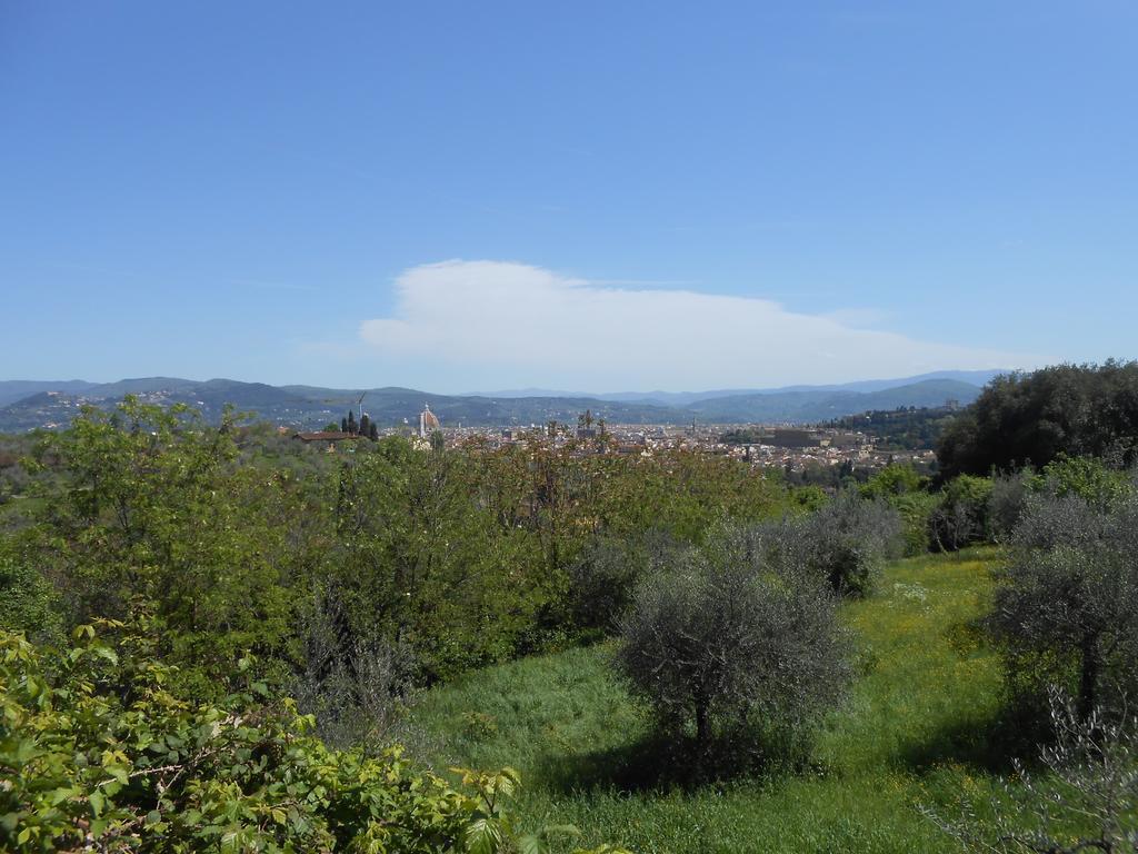 Relaxing Place In Oltrarno フィレンツェ エクステリア 写真